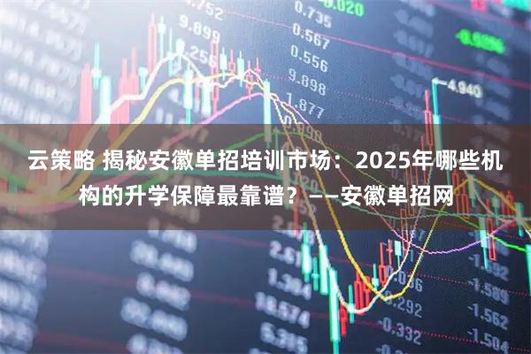 云策略 揭秘安徽单招培训市场：2025年哪些机构的升学保障最靠谱？——安徽单招网