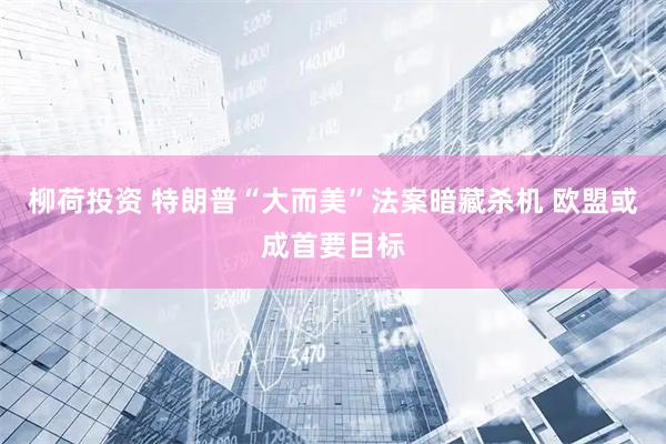 柳荷投资 特朗普“大而美”法案暗藏杀机 欧盟或成首要目标