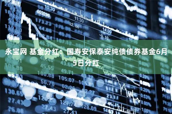 永宝网 基金分红：国寿安保泰安纯债债券基金6月5日分红