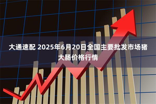 大通速配 2025年6月20日全国主要批发市场猪大肠价格行情