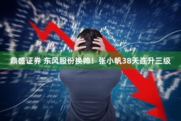 鼎盛证券 东风股份换帅！张小帆38天连升三级