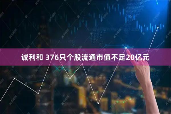 诚利和 376只个股流通市值不足20亿元