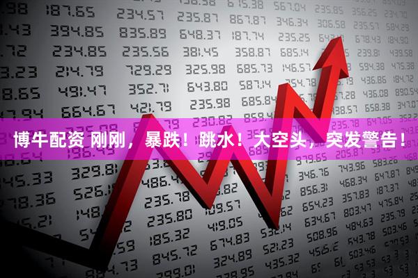 博牛配资 刚刚，暴跌！跳水！大空头，突发警告！