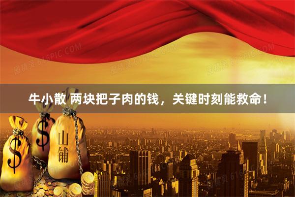 牛小散 两块把子肉的钱，关键时刻能救命！